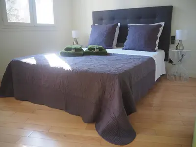 a bedroom with a large bed with blue pillows at APPART AIX MAZARIN in Aix-en-Provence