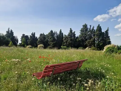 a park bench sitting in a field of flowers at Ancien Mas Du Moulin in Eygalières