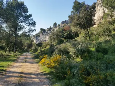 a bed with a person made out of roses on it at L'Orgalière Alpilles in Orgon