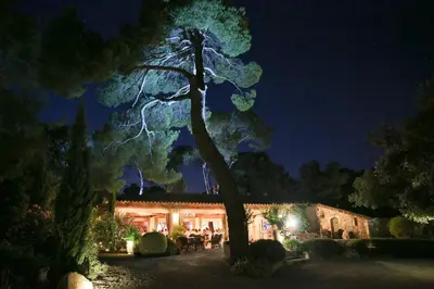 a tree in front of a building at night at Le Mas De La Rose - Teritoria in Orgon