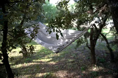 a hammock hanging from a tree in a forest at Les Terrasses - Gordes in Gordes