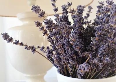 a bouquet of lavender in a white vase at Les Terrasses - Gordes in Gordes