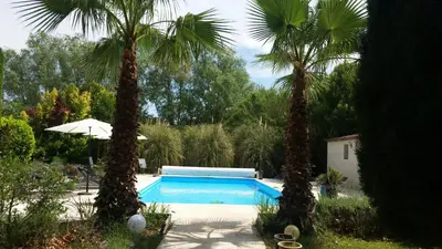 a swimming pool with two palm trees in a yard at Mas des Cigognes in Le Thor