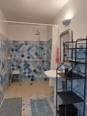 a bathroom with a shower and a sink at Mas des Cigognes in Le Thor