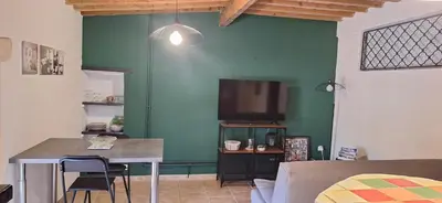 a living room with a green wall with a television at Gîte Mas de la Restanque in Monteux