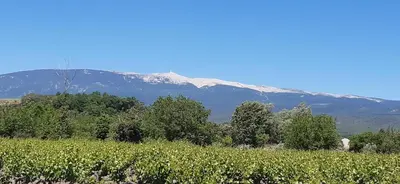 a field of crops with a mountain in the background at Hôtel Le Siècle in Mazan