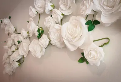 a bunch of white roses on a wall at Gite des Carmes and Spa in Le Thor