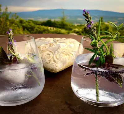 two glass vases with flowers in them on a table at Mas La Bellevue in Murs