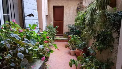 a courtyard with potted plants and a brown door at Hotel Cardinal in Aix-en-Provence