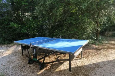 a blue ping pong table sitting on the ground at Villa - La Luberonne in Lourmarin