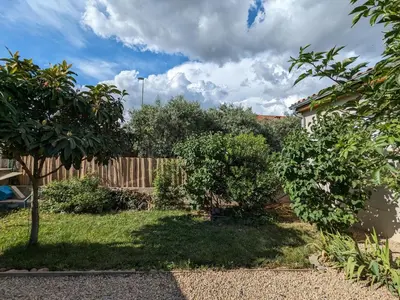 a yard with two trees and a fence at La Maison sous l'olivier in Morières-lès-Avignon