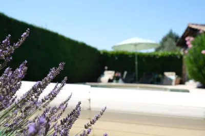 a bunch of purple flowers in front of a fountain at Very pleasant vacation rental with heated pool in the Luberon in Gargas