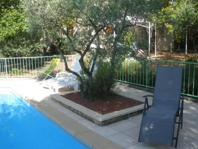 a tree and a chair next to a swimming pool at Spacious villa on two levels in Cabrières-dʼAvignon