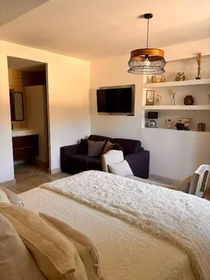 a living room with a couch and a tv at Le Mas des Mirabelles in Cabannes