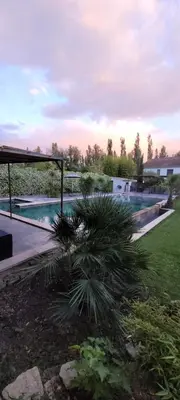 a palm tree sitting next to a swimming pool at Le Mas des Mirabelles in Cabannes