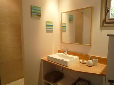 a bathroom with a sink and a mirror at L'Atelier des Coudelières in Le Thor