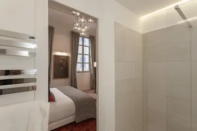 a bedroom with a bed and a walk in shower at Maison Du Collectionneur in Aix-en-Provence