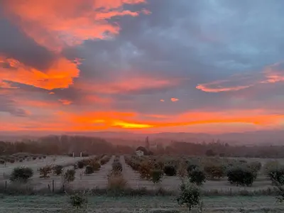 a sunset over a field with trees in a field at Le Mazet d'Emilia avec jardin et piscine privés in Cucuron