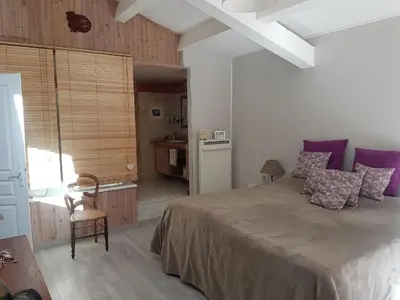 a bedroom with a large bed with purple pillows at Détente champêtre in Lambesc
