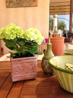 a potted plant sitting on a wooden table with vases at Maison charmante à Modène avec piscine privée in Modène