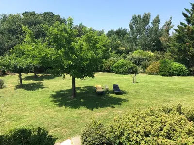 a park with a tree and two chairs in the grass at Mas Oréa Sous la glycine in Gordes