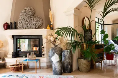 a living room with a fireplace with vases and plants at Maison d’Etienne in Lacoste