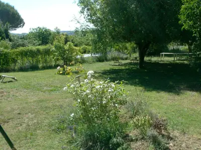 a garden with a tree and a field of grass at L'Oustalet in La Tour-dʼAigues