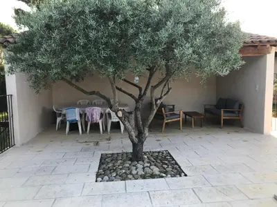 a tree in a courtyard with chairs and a table at Les Buis in Carpentras