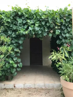an entrance to a building with a large green hedge at Les Buis in Carpentras