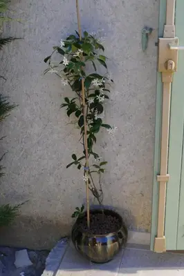 a potted plant in a metal bowl at Les Hauts De Reillanne in Reillanne