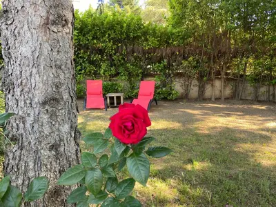 two red chairs and a red rose next to a tree at La roseraie Bonnieux in Bonnieux