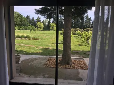 a window view of a tree and a field at Safranière des Sorgues in Le Thor