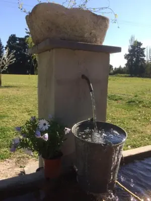 a water fountain with a bucket and a plant at Safranière des Sorgues in Le Thor