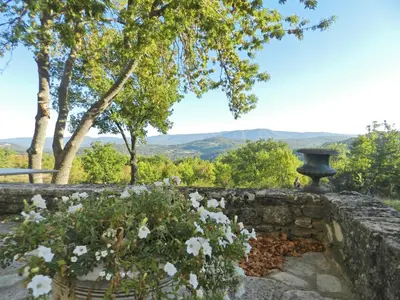 a stone retaining wall with flowers in a garden at Villa in Saignon with Pool and Scenic Views in Ménerbes
