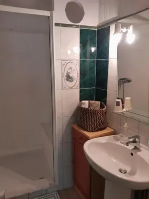 a bathroom with a sink and a shower and a tub at Le palais, hôtel - restaurant in Apt