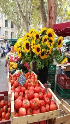 a display of tomatoes and sunflowers at a market at Sunny Apartment with Nice View in History City Center in Aix-en-Provence