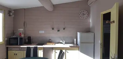 a kitchen with a counter with a refrigerator and a microwave at La Pitchounette Mas Val-Chênaie Gordes in Gordes