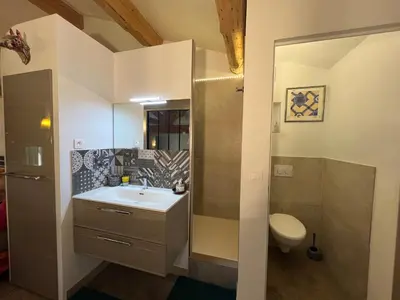 a bathroom with a sink and a toilet at La Louvière des Bruyères in Robion en Luberon