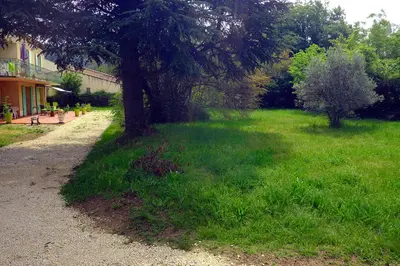 a tree in the grass next to a house at Envies en Lubéron in Saignon