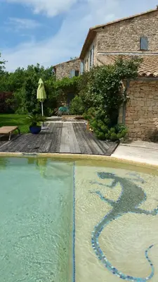 a pool of water with a snake painted on it at Coin Secret in Murs