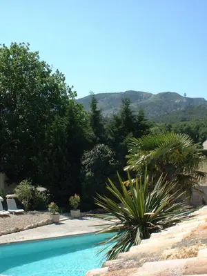a swimming pool with a palm tree and mountains in the background at Gites Climatisés Piscine Chauffée La Balancelle in Saint-Rémy-de-Provence