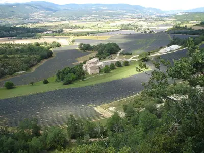 an aerial view of a farm with a large field at Maison Charrasse in Flassan