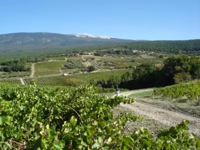 a person standing on a dirt road in a field at Maison Charrasse in Flassan