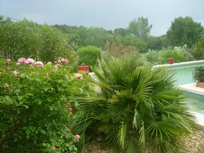 a garden with flowers and a swimming pool at Le Paradis in Vaugines