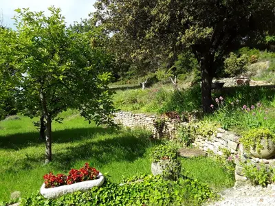 a garden with two white vases filled with red flowers at Le Paradis in Vaugines