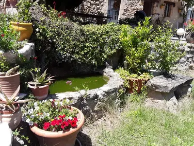 a garden with potted plants and flowers and a pond at Le Paradis in Vaugines