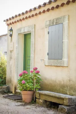 a house with a green door and a potted plant at Les Mazets de Marie de Jules in Eyragues