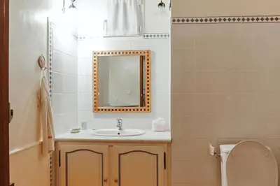 a bathroom with a sink and a toilet and a mirror at Villa confortable à Caromb avec piscine privée in Caromb
