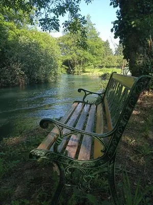 a park bench sitting next to a river at le Mas de la Jardine in Velleron