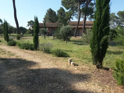 a garden with trees and a house in the background at Mas Clair de Lune in Saint-Rémy-de-Provence